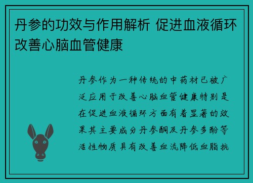 丹参的功效与作用解析 促进血液循环改善心脑血管健康